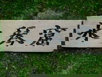 Maple Spring Nursery and Goryu Japanese Gardens