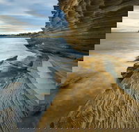 Maria Island - Gold Coast Attractions