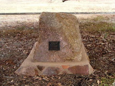 May Gibbs Tree - Gold Coast Attractions 0