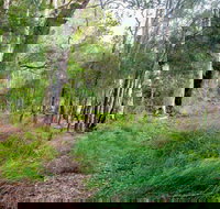 Meroo Lake walking track - Gold Coast Attractions