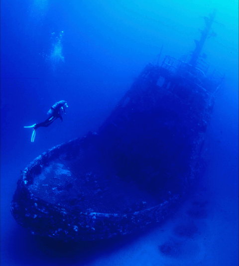 Merimbula Divers Lodge - Gold Coast Attractions 0