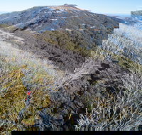 Mt Buller Bike Park - Gold Coast Attractions