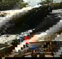 Murray Falls Girramay National Park - Gold Coast Attractions