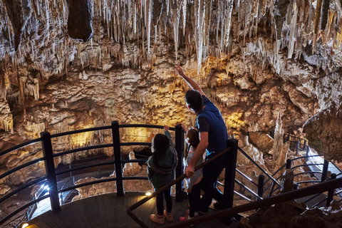 Ngilgi Cave - Gold Coast Attractions 0