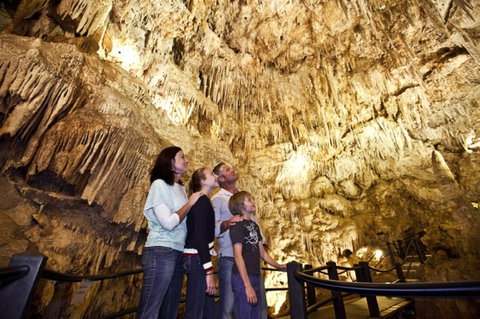 Ngilgi Cave - Gold Coast Attractions 1