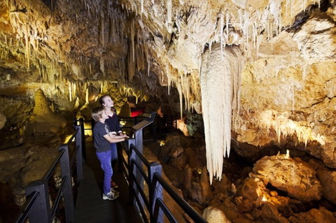 Ngilgi Cave - Gold Coast Attractions 2