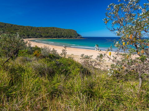 North Durras Beach - Gold Coast Attractions 0