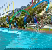 Oaklands War Memorial Swimming Pool - Gold Coast Attractions