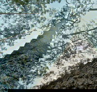 O'Sullivans Gap Picnic Area - Gold Coast Attractions