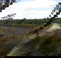 Penola Conservation Park - Gold Coast Attractions