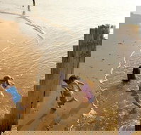 Phillip Island - Gold Coast Attractions