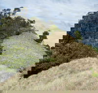 Pieries Peak Walking Track - Gold Coast Attractions