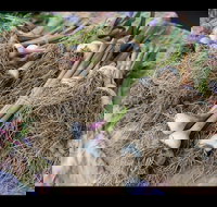 Queanbeyan Park Market - Gold Coast Attractions