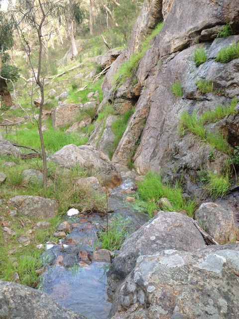 Salisbury Falls Walk - Gold Coast Attractions 2