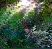 Scenic World Blue Mountains - Gold Coast Attractions