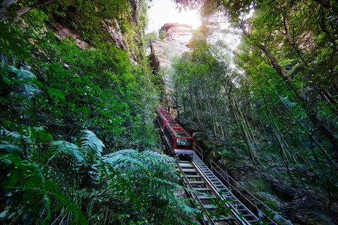 Scenic World Blue Mountains - Gold Coast Attractions 0