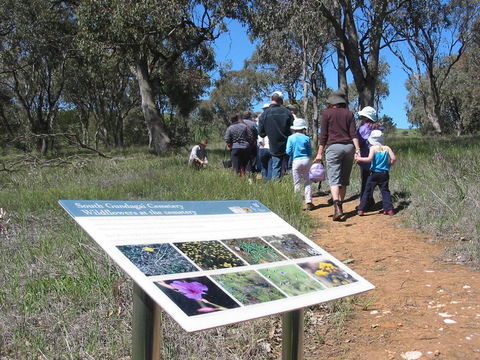 South Gundagai Woodlands Walk - Gold Coast Attractions 0