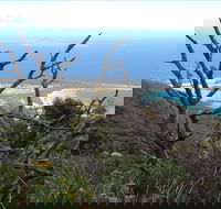 Strzelecki Peaks Great Short Walk - Gold Coast Attractions