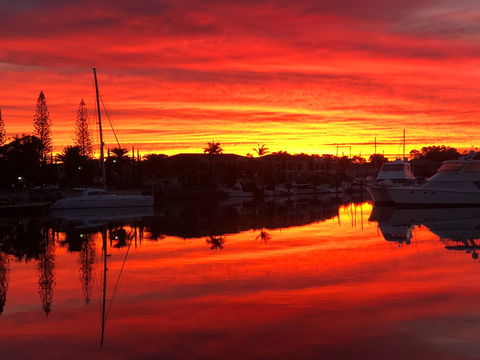 Straddievarious Gallery - Gold Coast Attractions 1