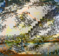 Sturt Gorge Recreation Park - Gold Coast Attractions