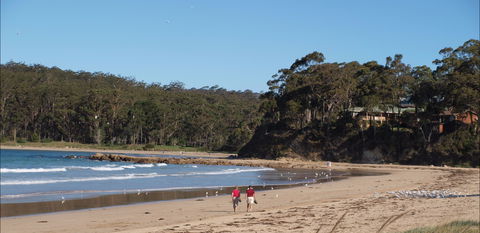 Surf Beach Batemans Bay - Gold Coast Attractions 1