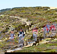 The Sole Walk at Hillocks Drive - Gold Coast Attractions