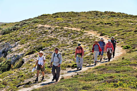 The Sole Walk At Hillocks Drive - Gold Coast Attractions 0