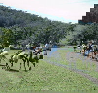 Timbertops - Horse Riding - Gold Coast Attractions