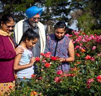 Victoria State Rose Garden at Werribee Park - Gold Coast Attractions