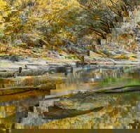 Warrabah National Park - Gold Coast Attractions