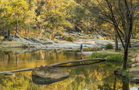 Warrabah National Park - Gold Coast Attractions 0