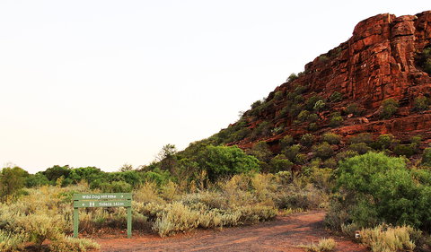 Whyalla Conservation Park - Gold Coast Attractions 0