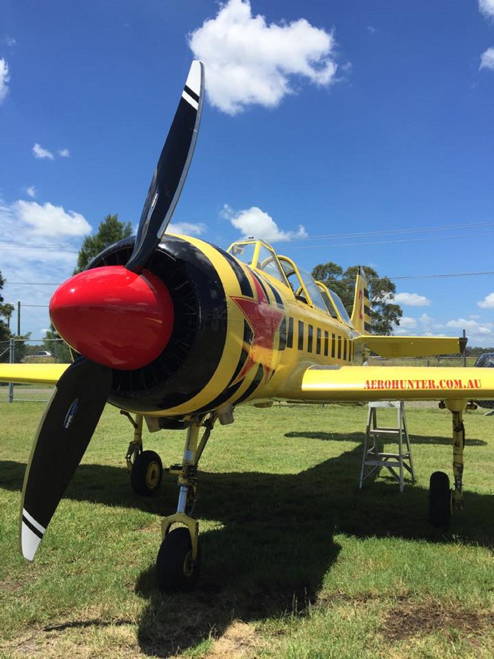 Mindaribba NSW Gold Coast Attractions