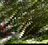 Alfred National Park - Gold Coast Attractions