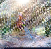 Bayview Conservation Area - Gold Coast Attractions