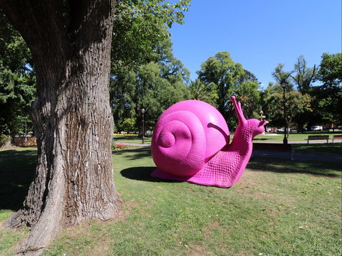 Belmore Park - Gold Coast Attractions 0