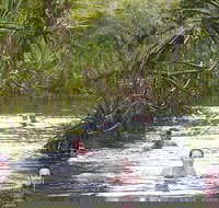 Berry Springs - Gold Coast Attractions