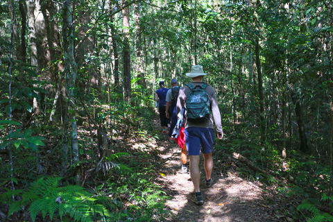 Booloumba Falls Walk, Conondale National Park - Gold Coast Attractions 1