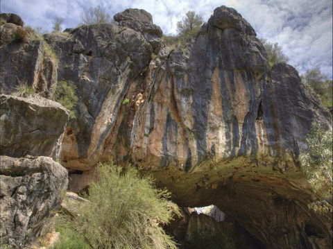 Borenore Karst Conservation Reserve - Gold Coast Attractions 0