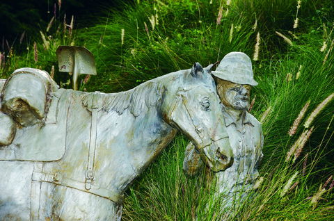 Centenary Park - Gold Coast Attractions 0