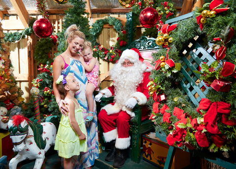 Christmas Tree Farm - Gold Coast Attractions 2
