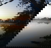 Cockatoo Lake Recreation Reserve - Gold Coast Attractions