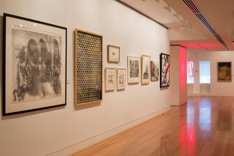 Coffs Harbour Regional Gallery - Gold Coast Attractions 1
