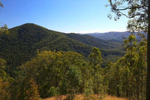 Conondale National Park - Gold Coast Attractions 0
