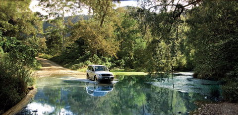 Conondale National Park - Gold Coast Attractions 1
