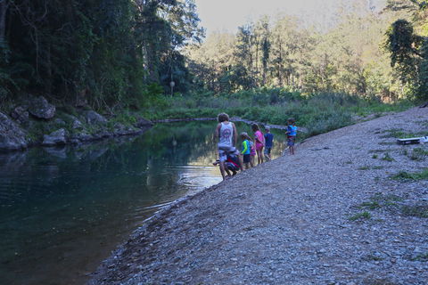 Conondale National Park - Gold Coast Attractions 2
