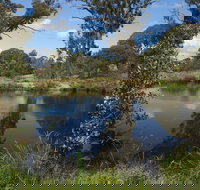 Cooleman Ridge - Gold Coast Attractions