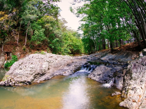 Currumbin Rock Pools - Gold Coast Attractions 0