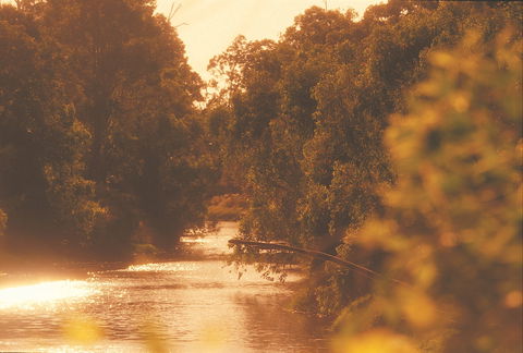 Donnybrook - Gold Coast Attractions 0