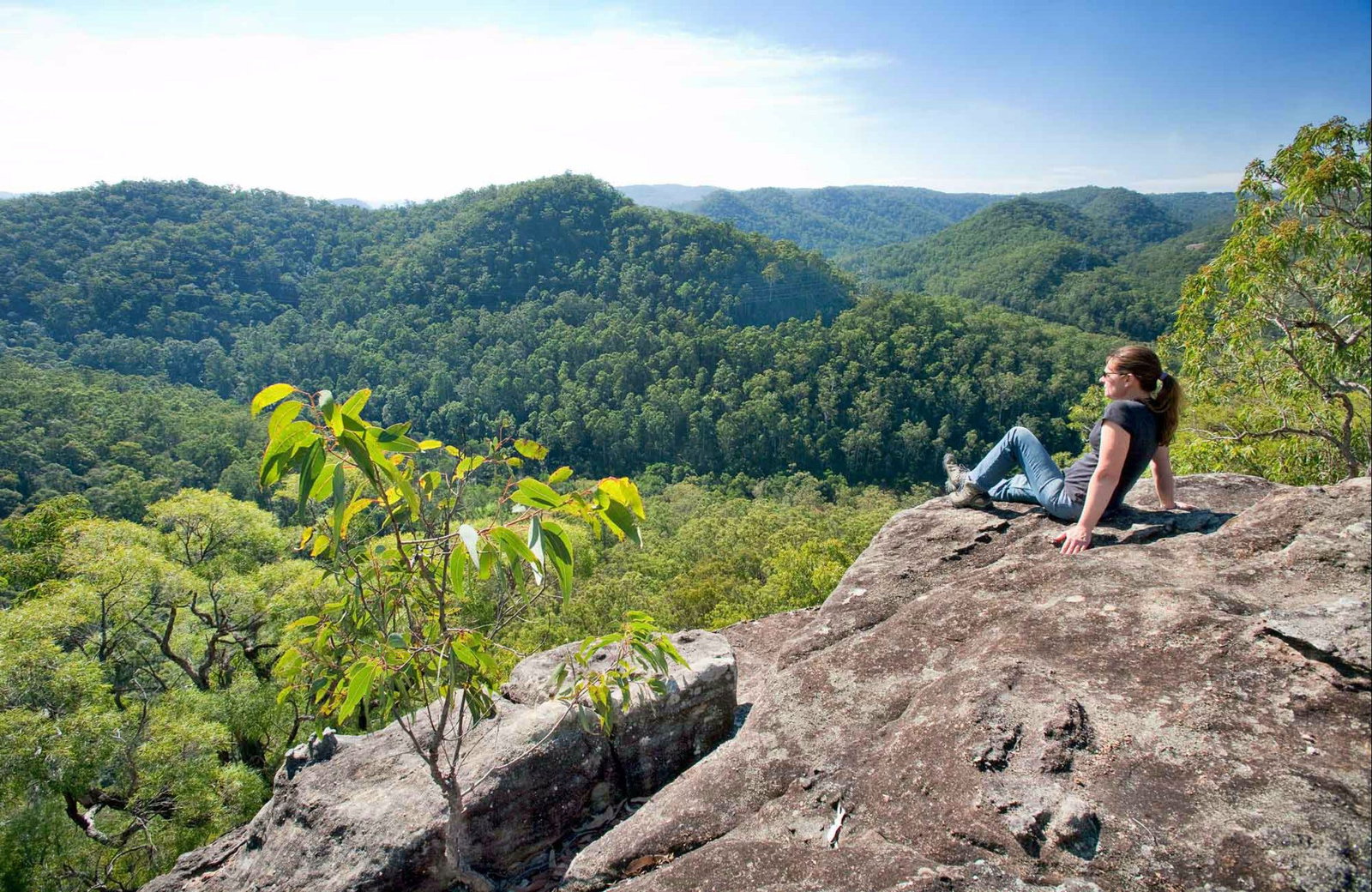 Gold Coast Attractions